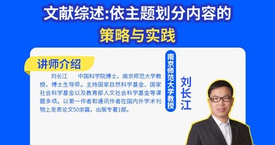 文献综述:依主题划分内容的策略与实践